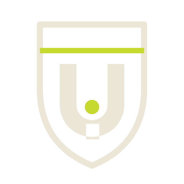 Uranio Impoverito