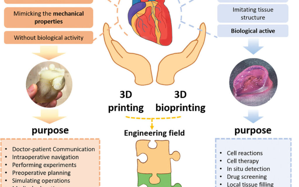 Per la prima volta reni e fegato stampati in 3D nello spazio per risolvere un problema sulla Terra