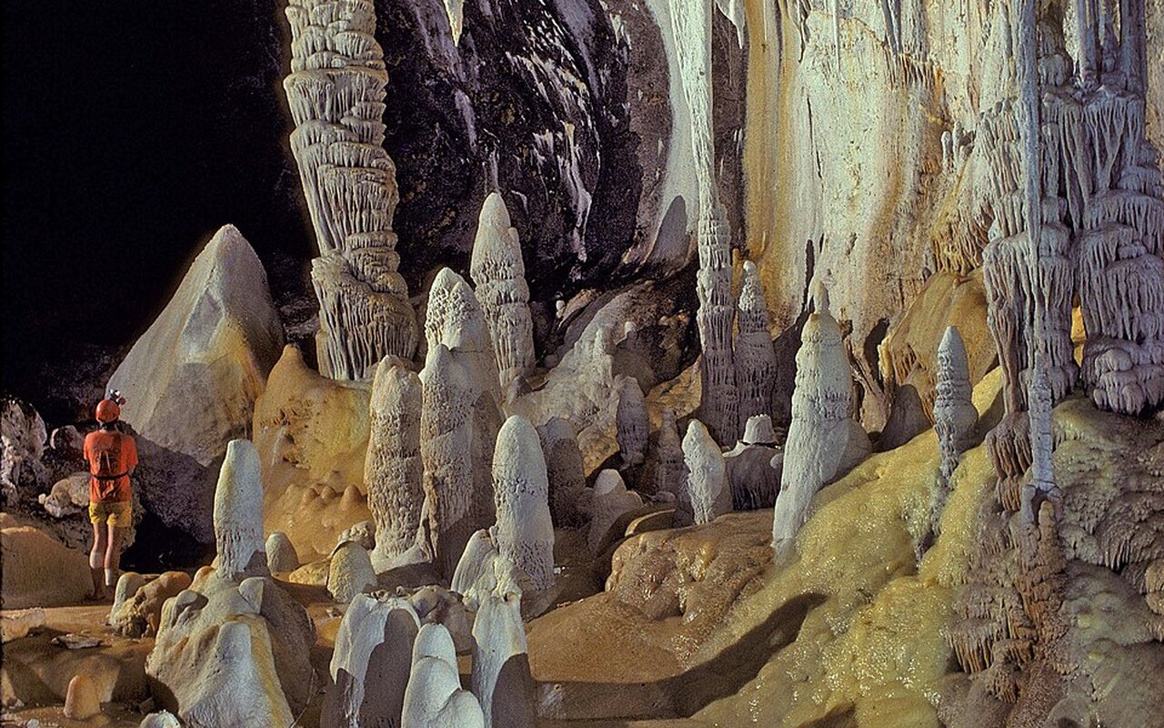 In una grotta della Romania un mondo isolato da 5,5 milioni di anni con 48 specie mai viste altrove