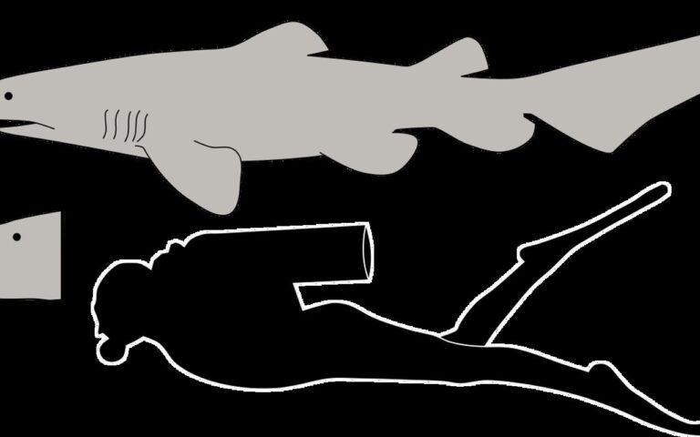 Per la prima volta uno squalo goblin filmato vivo nelle profondità marine