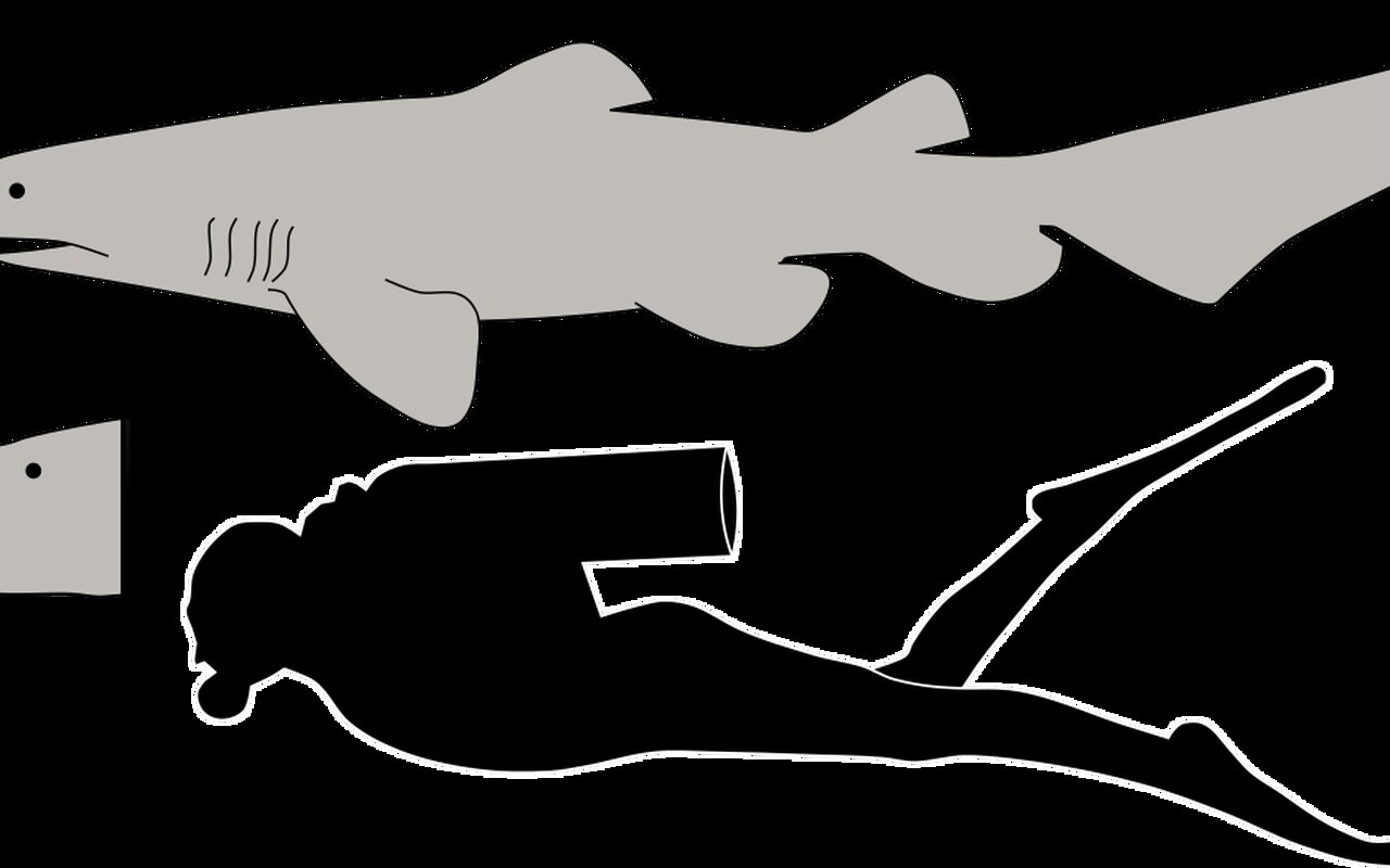 Per la prima volta uno squalo goblin filmato vivo nelle profondità marine