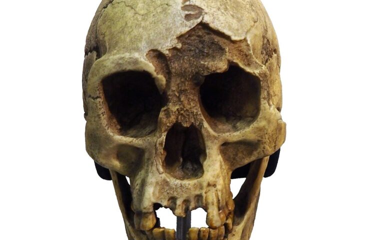 Gli «Hobbit» di Flores scomparvero 50.000 anni fa: cosa accadde alla loro isola