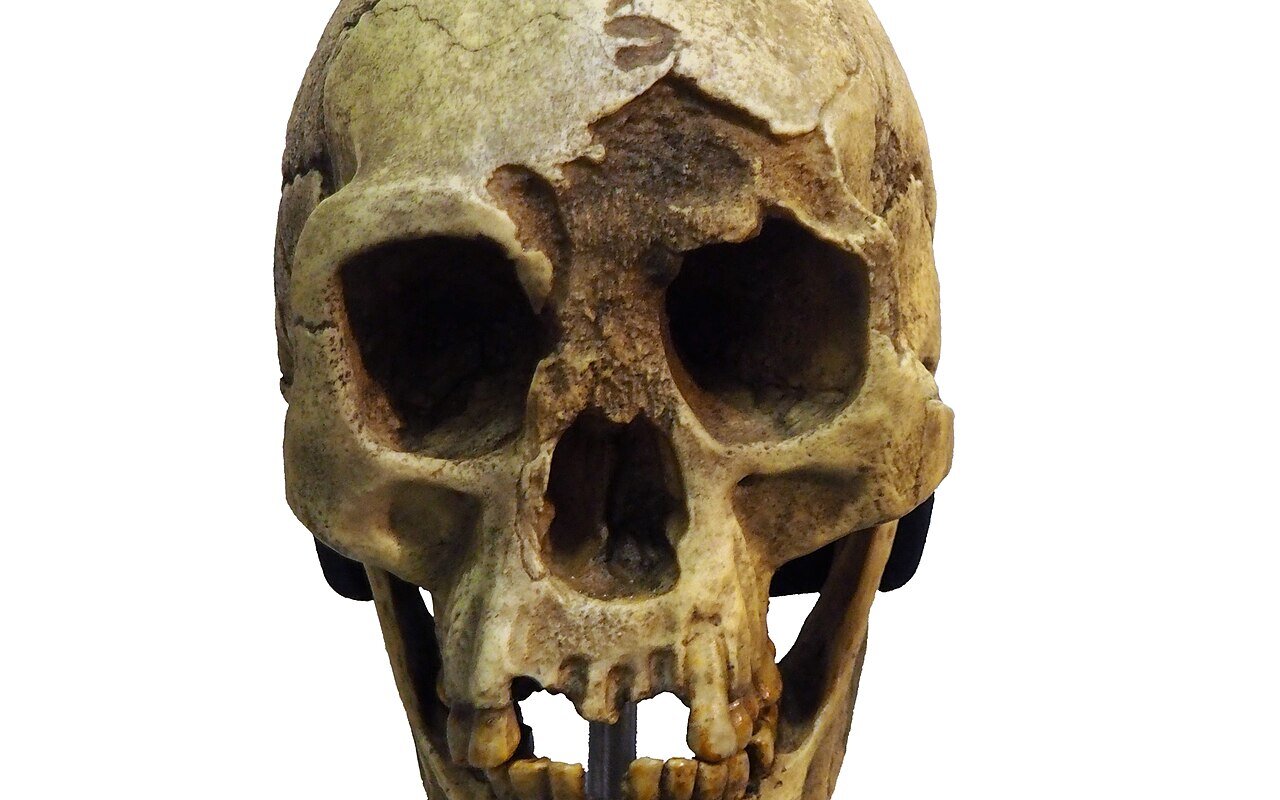 Gli «Hobbit» di Flores scomparvero 50.000 anni fa: cosa accadde alla loro isola