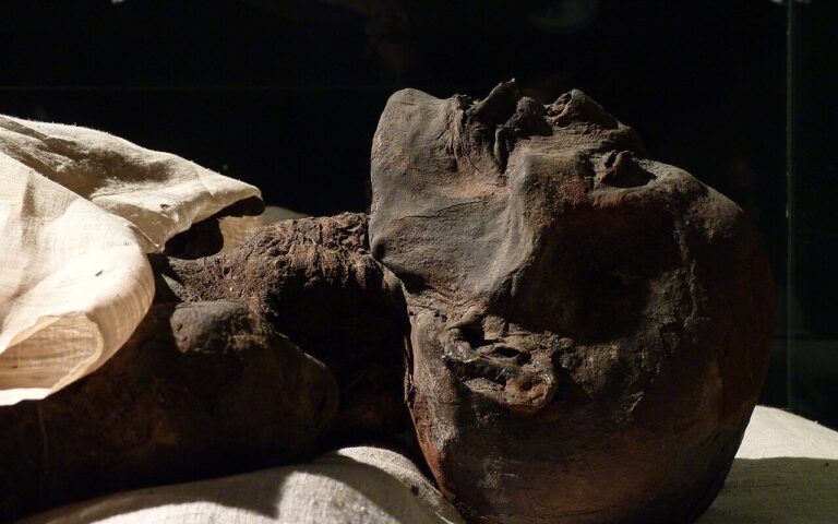 L’Iliade di Omero ritrovata dentro una mummia egizia di 1.600 anni fa
