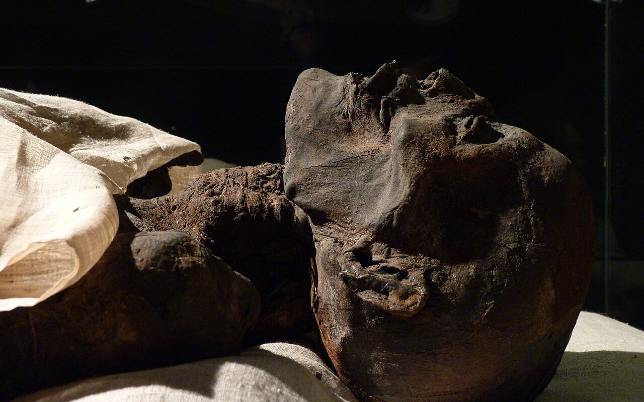 L’Iliade di Omero ritrovata dentro una mummia egizia di 1.600 anni fa