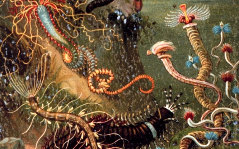 Un antico verme marino aveva mascelle di «bio-metallo» mai viste prima