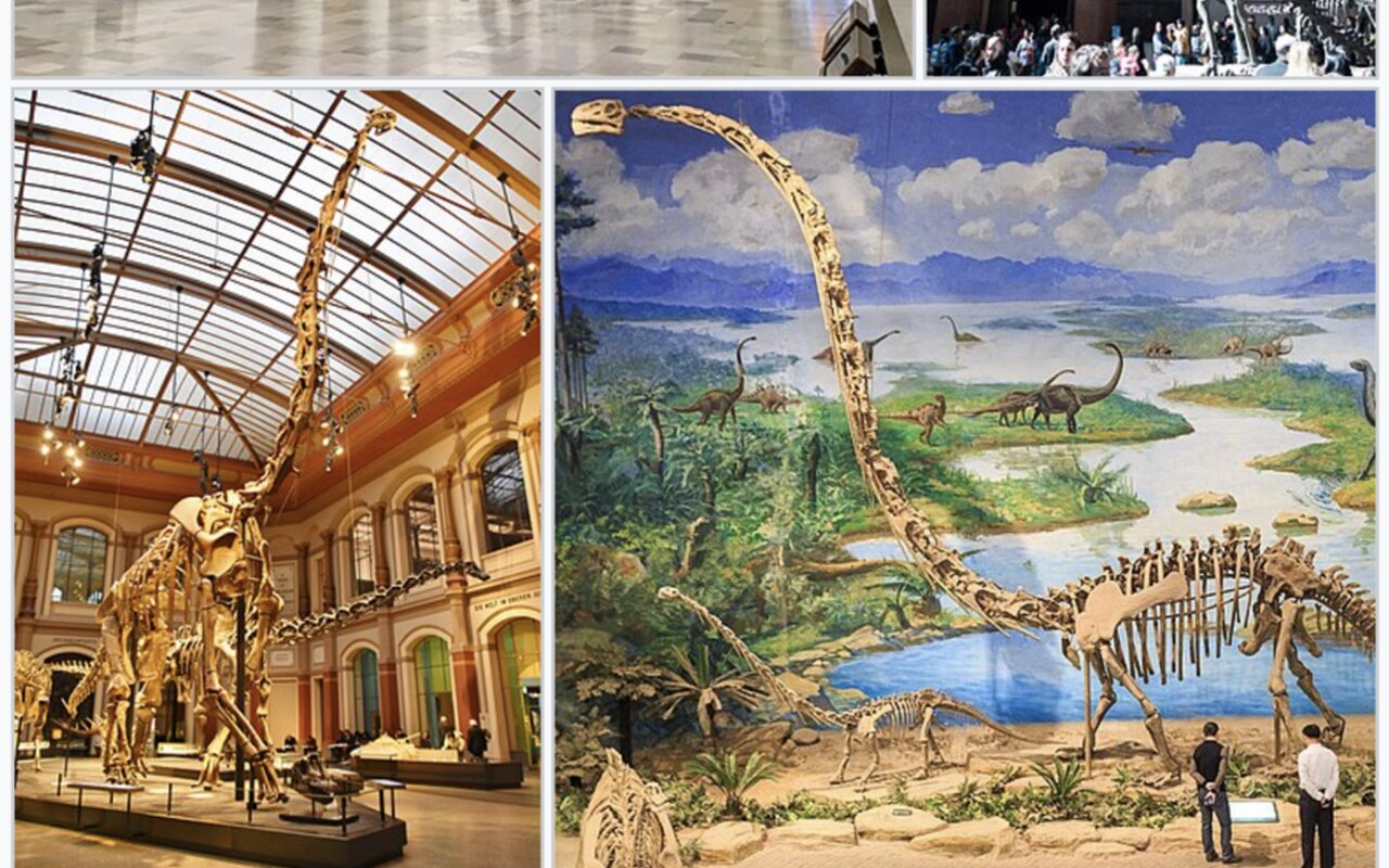 Il più grande dinosauro del Sud-est asiatico era nascosto vicino a uno stagno in Thailandia