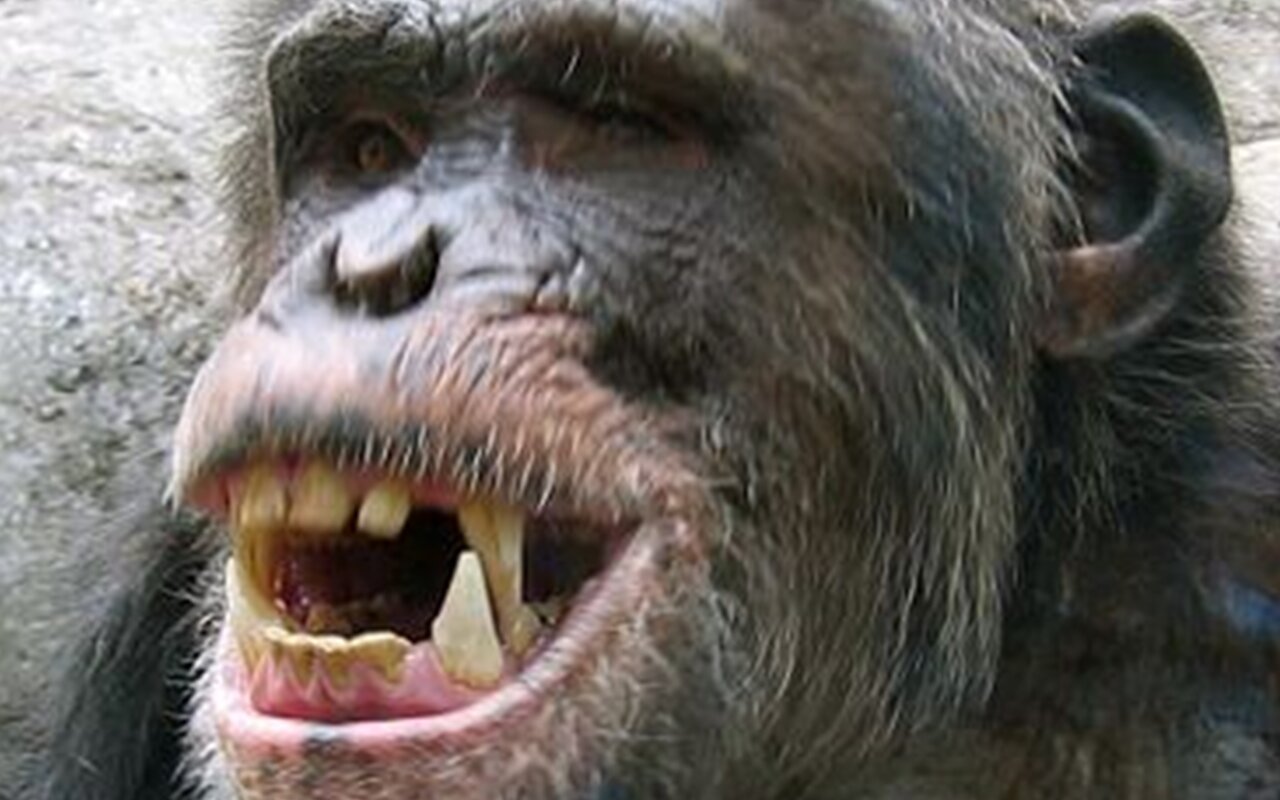 Un nuovo gel potrebbe rigenerare lo smalto dei denti: addio alle carie?